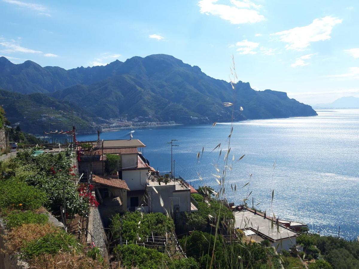 Osolemiohouse Διαμέρισμα Minori Εξωτερικό φωτογραφία